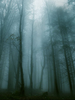 Other Wallpapers 0525